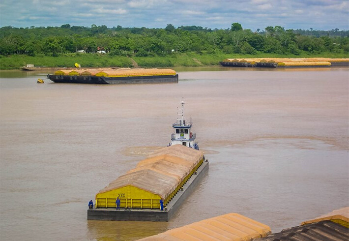 Justiça derruba decreto que garantia licenciamento ambiental para extração de ouro no rio Madeira, em Porto Velho